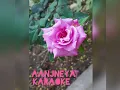 Download Lagu Thusharamurukum Song Cover/ Karaoke In Malyalam With Vocals By Me (  Movie_Veendum Lisa )