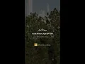 Download Lagu Surah Al-Araf | Ayah 204 - 206 | Quran Recitation | Weekly Series