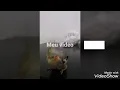 Clipe 2 calopsita Catarina clipe oficial