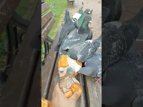 #دعاء_الرزق