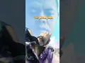 Download Lagu Dirimu tak bisa kusentuh.