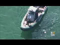 Duxbury Beach Closed Due To Shark Sighting