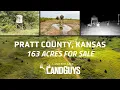 163 Acres in Pratt County Kansas Turnkey Hunting Dense Wildlife Cover
