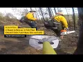 They had 6 hours to save a fish that doesn t exist anywhere else on Earth