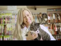 VIP Petcare Promo