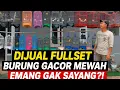 Download Lagu BENER² GILA ! BURUNG GACORAN MEWAH DI JUAL FULLSET SANGKAR BAGUS² ! EMANG GAK SAYANG MASE ?!