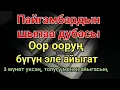 Lagu Пайгамбардын дубасы — 3 мүнөттө айыгасың! Угуп коюу эле жетиштүү