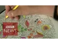 What makes a great adult colouring book