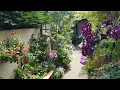 Lagu A tour of Justin's Secret Garden. A small space made beautiful