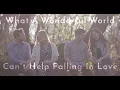Download Lagu What A Wonderful World / Can't Help Falling In Love Medley feat. Peter & Evynne Hollens