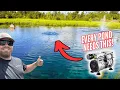 Why Every Pond NEEDS an Aerator Best Budget Setup Under 300
