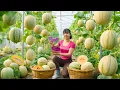 Download Lagu TIMELAPSE -- 500 Days Harvesting 1000Kg Giant Melons Go to Market Sell \u0026 Take Care 100 Piglets