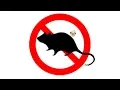 Download Lagu ▶️ Mouse \u0026 Rat Ultra Sonic Deterrent. Mice Ultrasonic Repellent. 12 Hours. 🌏
