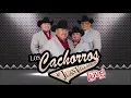 Los Cachorros de Juan Villarreal - Regalo caro [Live]