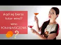 Download Lagu Jak powstaje wino? Od czego zależy jego kolor? POLSKIE WINA! | Nie Moja Wina 🍷 Odc. 4