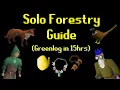 Solo Forestry Guide Greenlog in 15 Hours