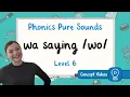 Spelling Pattern wa wo Sound Phonics Level 6 Pure Sound