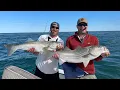 Trolling for Cape Cod Striped Bass - Fishing with Sure Shot Charters