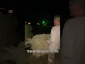 WEATHER during the DAY FARMING at NIGHT