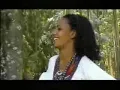 Traditional Amharic-Manalemosh Dibo-Assa Belew