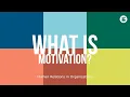 What is Motivation