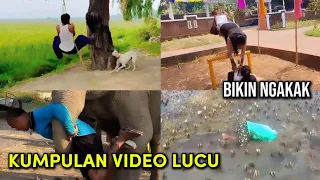 a collection of funny videos that will make you laugh 53