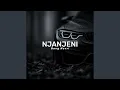 Lagu Njanjeni