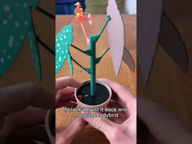 Begonia plant with a secret video thumbnail