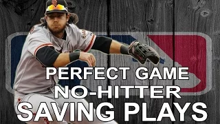 Perfect - Hitter Saving Plays