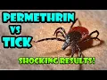 Tick vs Permethrin from Sawyer - Tick Repellent and killer