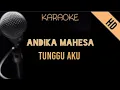 Andika Mahesa - Tunggu Aku | Karaoke
