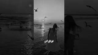 حتى لو صرت ختيار وشايل عكازة حلات لايك تصميمي اكسبلور تصميم فيديوهات ستوريات حالات واتس 