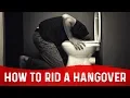 How To Get Rid Of Hangover Instantly - Dr Berg