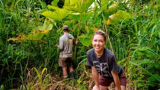WE BOUGHT 8 ACRES OF ABANDONED JUNGLE NOW WE ARE STRUGGLING TO MAINTAIN IT!