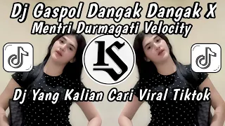 dj viral dj gaspol dangak di gas dangak dangak party x mentri durmagati velocity viral terbaru 2026