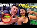 Reptiles for beginners at the Mixiuca Fish Market Mario Blogs