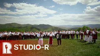 carmen chindri i livius lauruc orchestra maramure maramure 