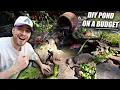 How To BUILD A POND on a BUDGET Easy Low Cost DIY Natural Backyard Pond Tutorial