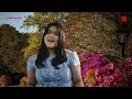 Download Lagu Perumpamaan Pohon Ara Tdk Berbuah, Voc.Yohana.S,Lukas 13:6-9,Cipt. Pdt.Timbul.Panjaitan