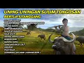 Download Lagu UNING UNINGAN GONDANG BATAK BERTUA SITANGGANG SULIM TONGOSAN
