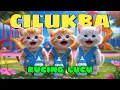 Download Lagu Kucing Lucu Pok Ame ame Cilukba 🐱 Pok Ame Ame Belalang Kupu kupu Cilukba Viral 💃