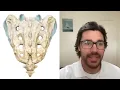 Sacroiliac Joint Stabilization for Pain Relief | Do's & Don'ts