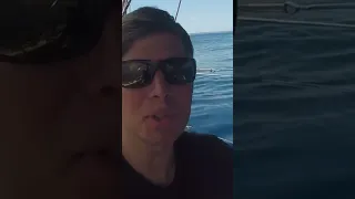 #becalmed #nowind #atlantic #middleofnowhere #transatlantic #bluewater #sailing