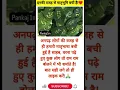 Download Lagu #dj #remix #music #party #dance #motivation #modiyogisongdjremix #musicremix #djyogi #musicdjremix