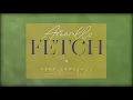 Getting started with Amarillo Fetch