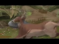 HUNTINGsmart! How to Field Dress a Deer