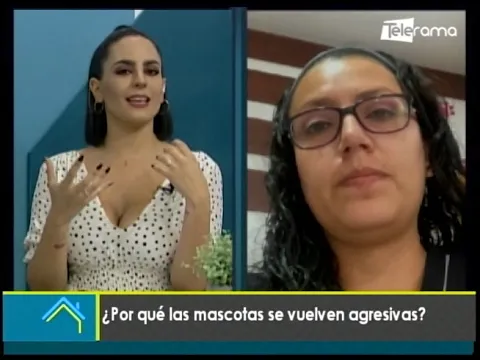 ¿Por qué las mascotas se vuelven agresivas?