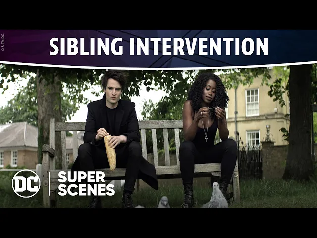 DC Super Scenes: Sibling Intervention