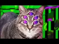 Fungus Funk - Oiia Tripping