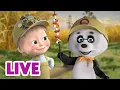 🔴 LIVE! Masha dan Beruang 👧🐻 Petualangan Keluarga 🏕🎒Kartun anak-anak 🎬 Masha and the Bear